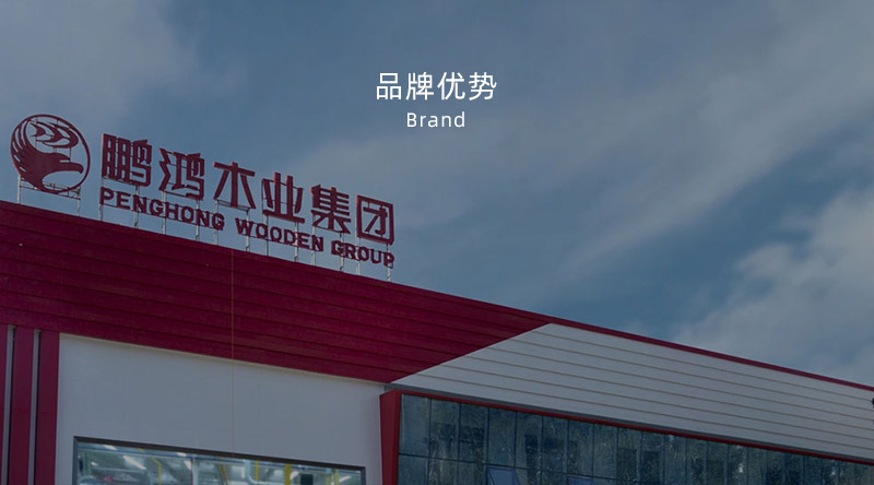 板材品牌、全屋定制品牌、生態(tài)板十大品牌