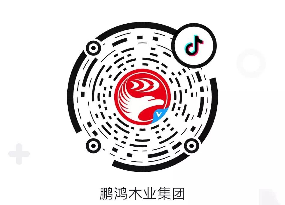 這廂有禮丨這個春節我最鴻，抖音相伴幸福年