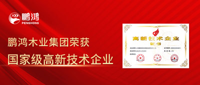 榮譽即使命——鵬鴻獲國家級高新技術企業認定
